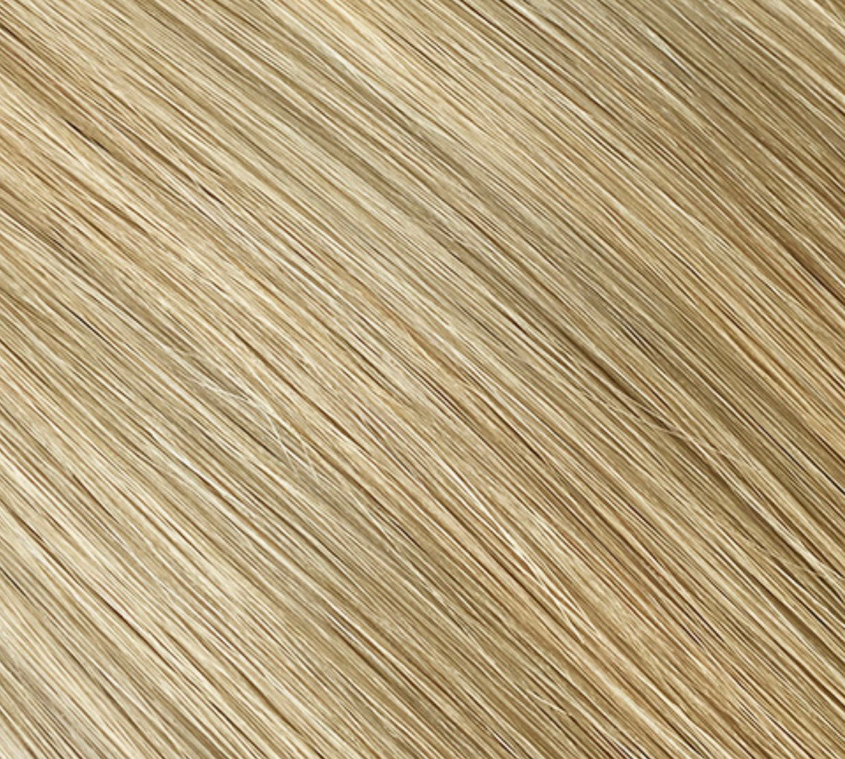 Blonde South Tape Ins